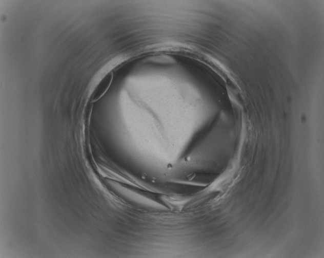 X0000067531418200604281648