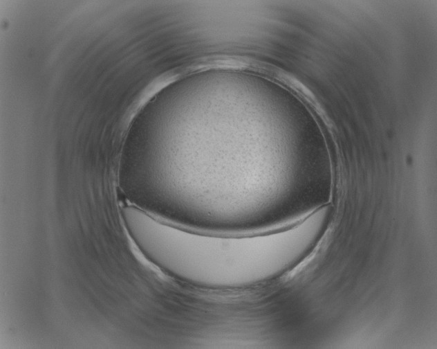 X0000067531433200604281648