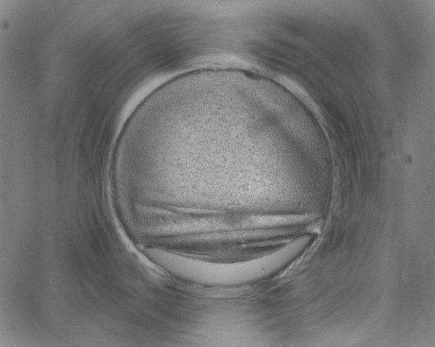 X0000067531440200604281648