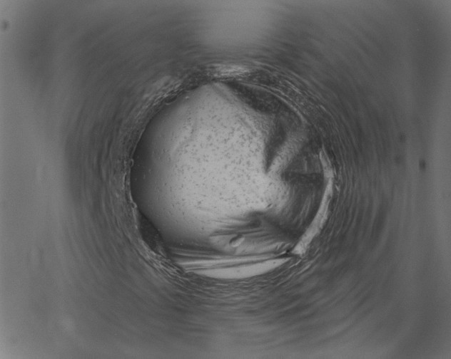 X0000067531441200604281647