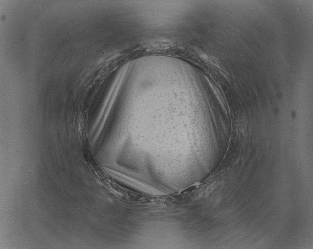 X0000067531445200604281647