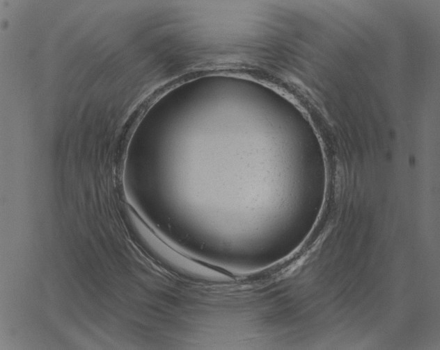 X0000067531449200604281647