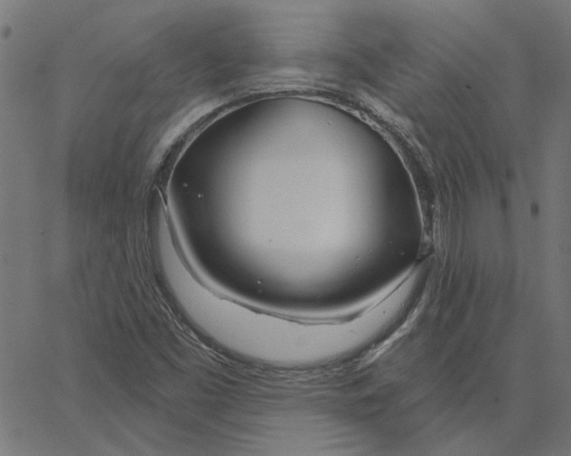 X0000067531453200604281647