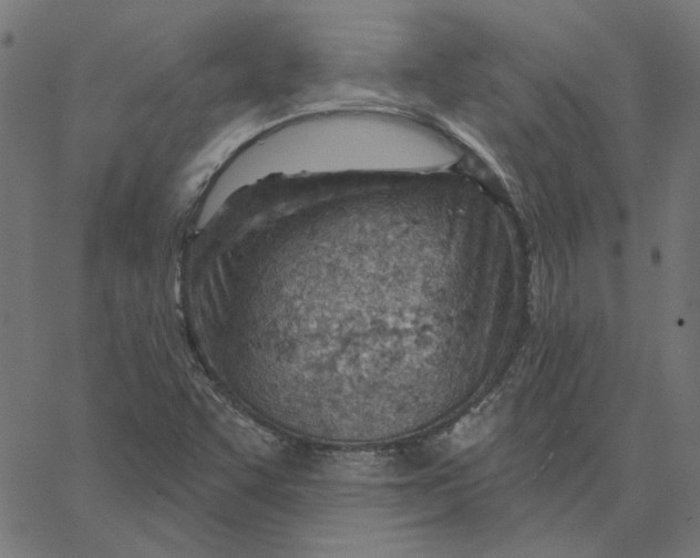 X0000067531455200604281647