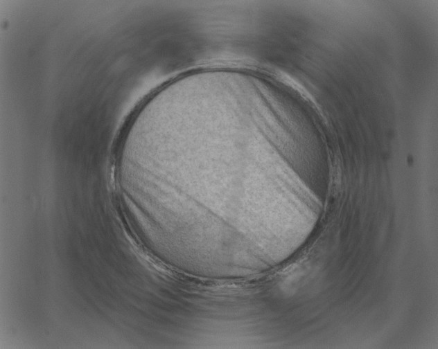 X0000067531462200604281647