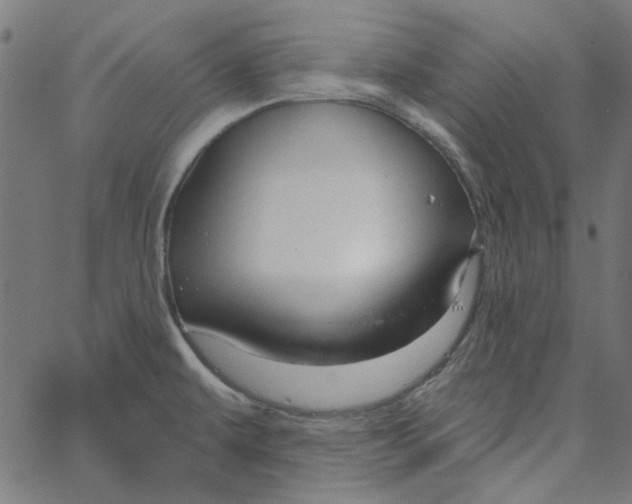 X0000067531479200604281647
