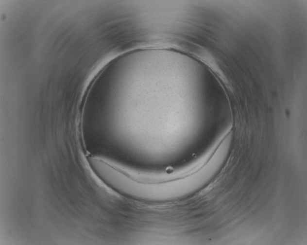 X0000067531484200604281647