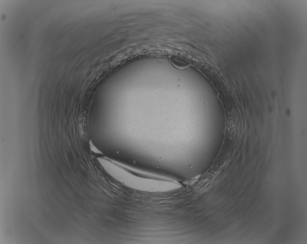 X0000067531490200604281646