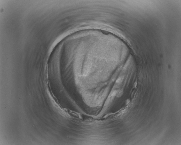 X0000067531522200604281646