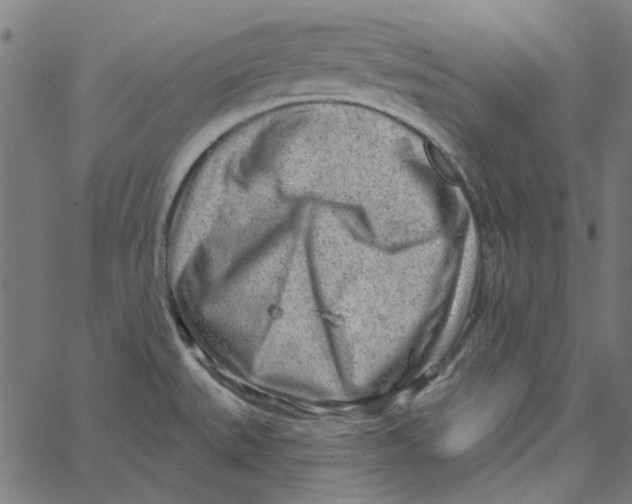 X0000067531527200604281646