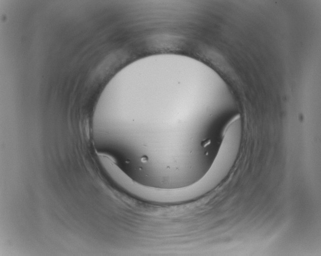X0000067530021200605051931