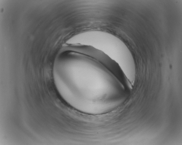 X0000067530035200605051931