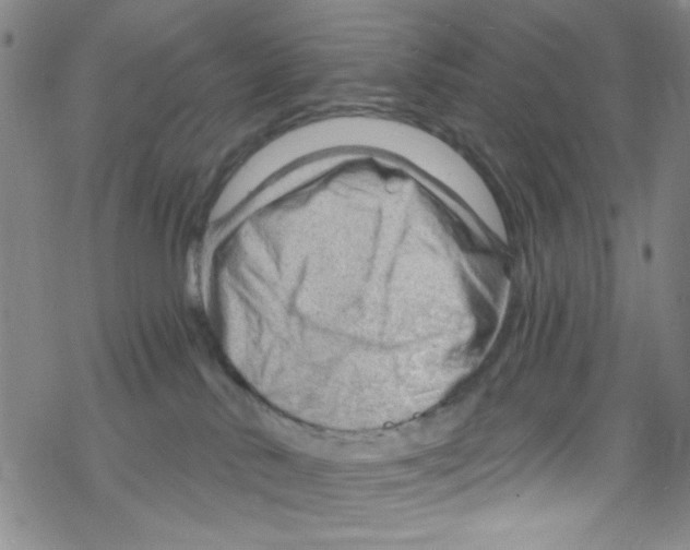 X0000067530042200605051931