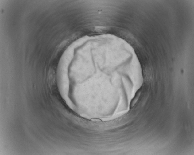 X0000067530043200605051931