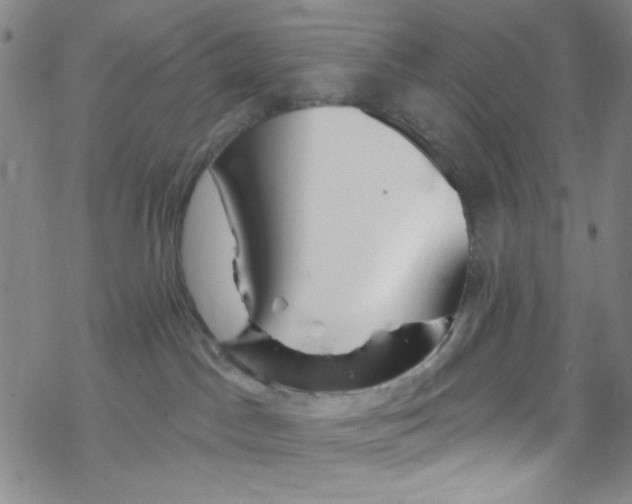 X0000067530045200605051931