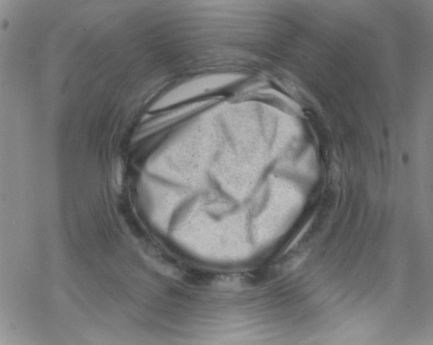 X0000067530076200605051930
