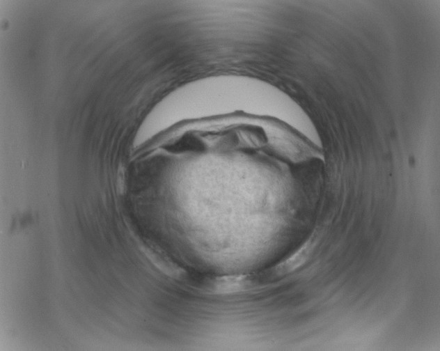 X0000067530090200605051931