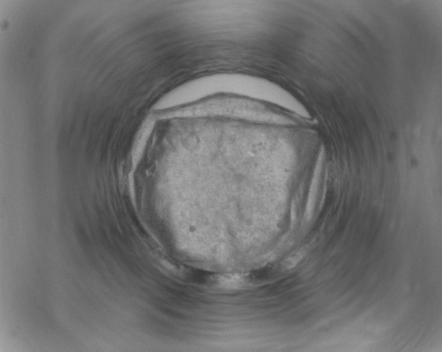 X0000067530093200605051931