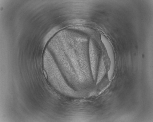 X0000067530099200605051930
