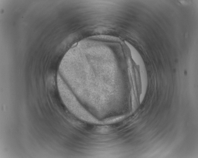 X0000067530127200605051929