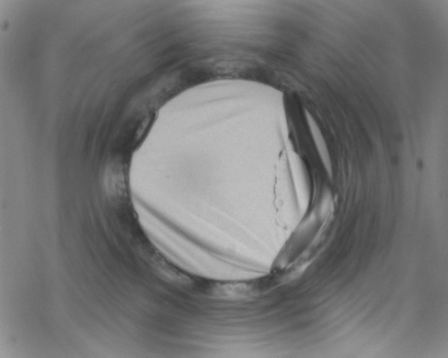 X0000067530137200605051929