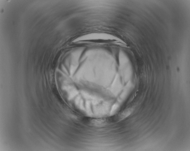 X0000067530139200605051929