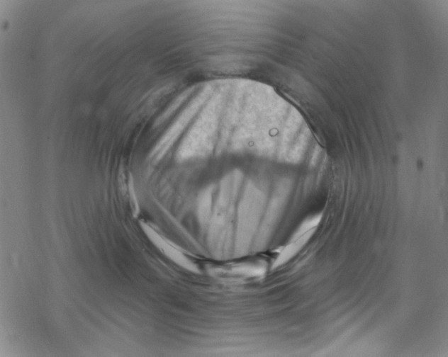 X0000067530143200605051929
