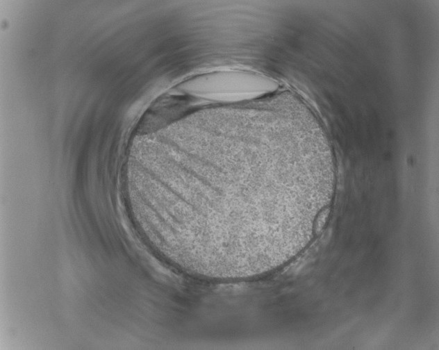X0000067530145200605051928
