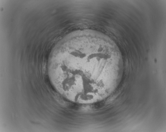 X0000067530177200605051929