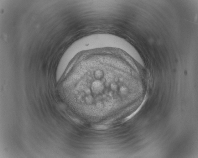 X0000067530191200605051929