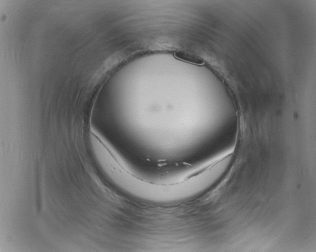 X0000067530201200605051928