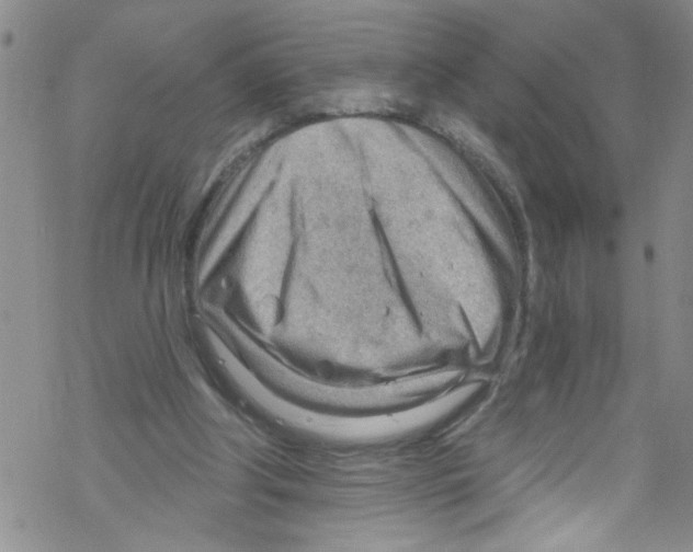 X0000067530202200605051928