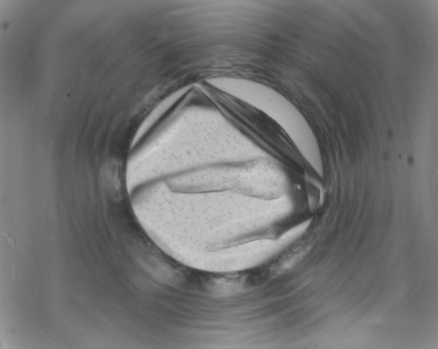 X0000067530232200605051928