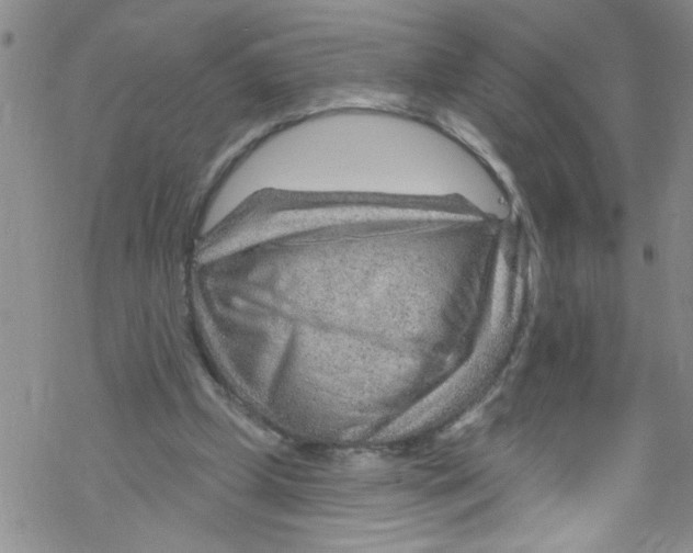 X0000067530249200605051927
