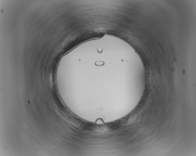 X0000067530262200605051927