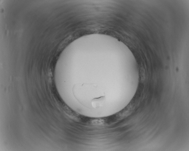 X0000067530279200605051927