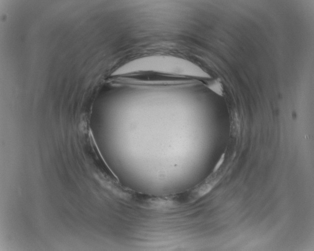 X0000067530284200605051927