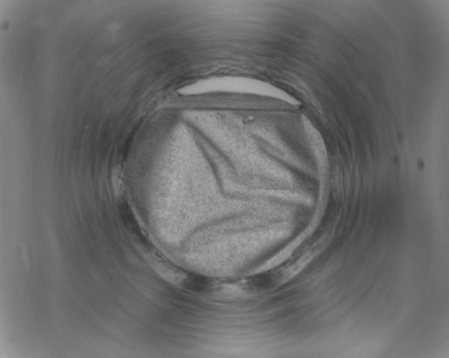 X0000067530285200605051927