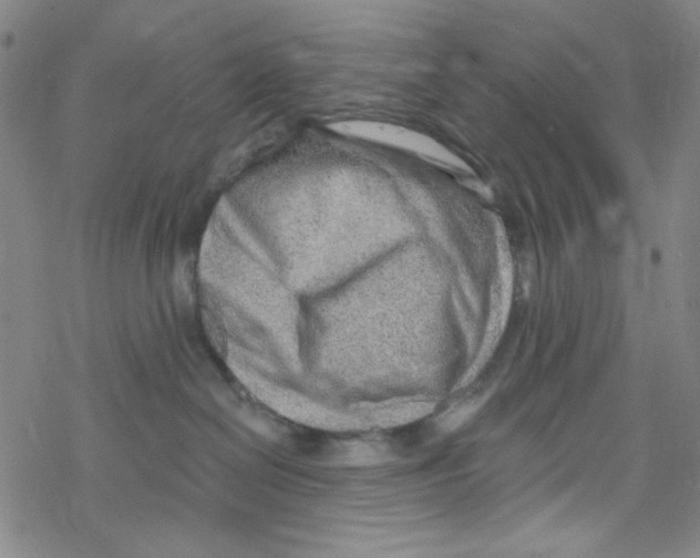 X0000067530286200605051927