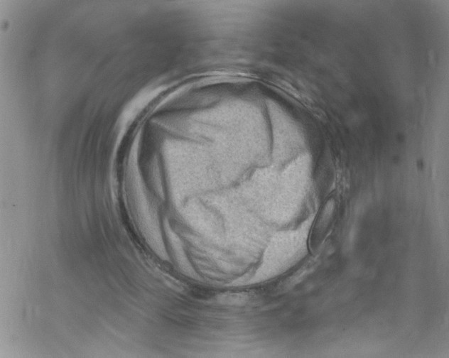 X0000067530294200605051927