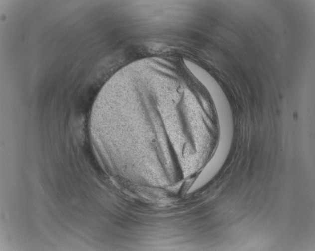 X0000067530319200605051926