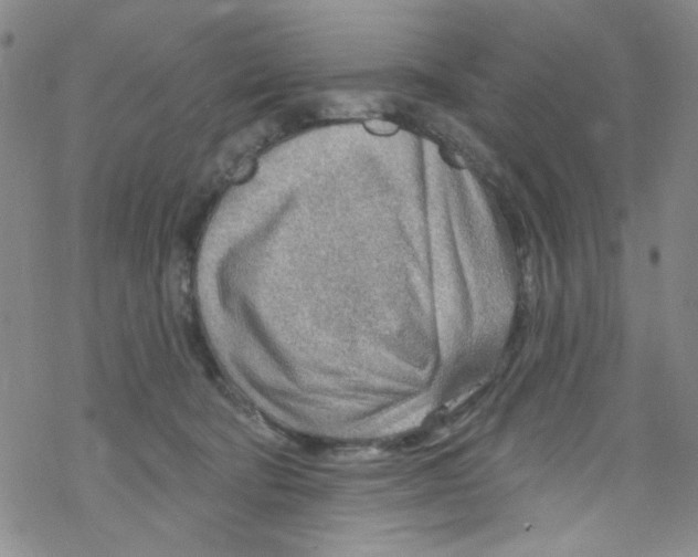 X0000067530322200605051926