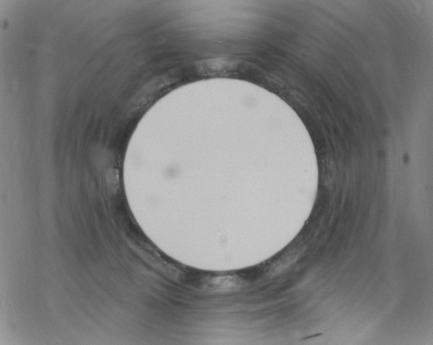 X0000067530324200605051926