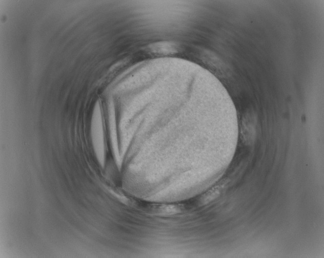 X0000067530330200605051926