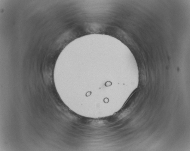 X0000067530332200605051926