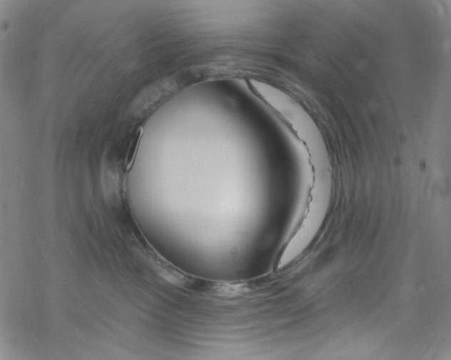 X0000067530333200605051926