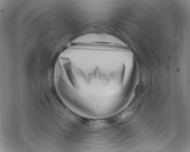 X0000067530378200605051926