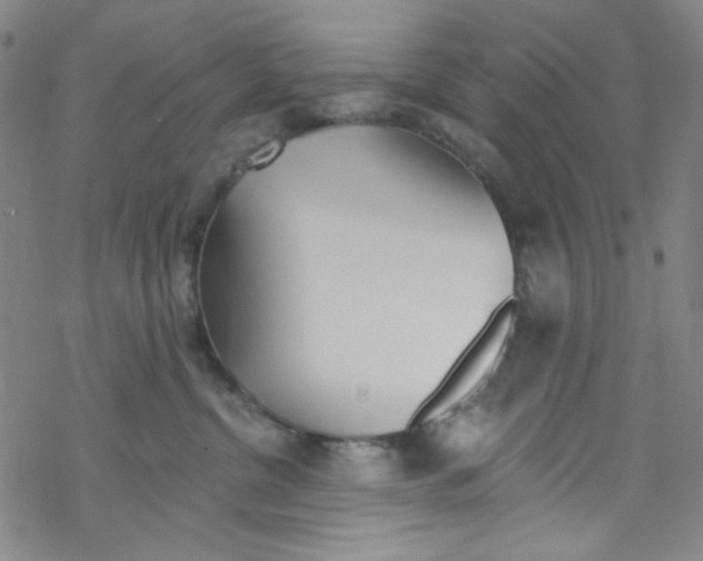 X0000067530380200605051926