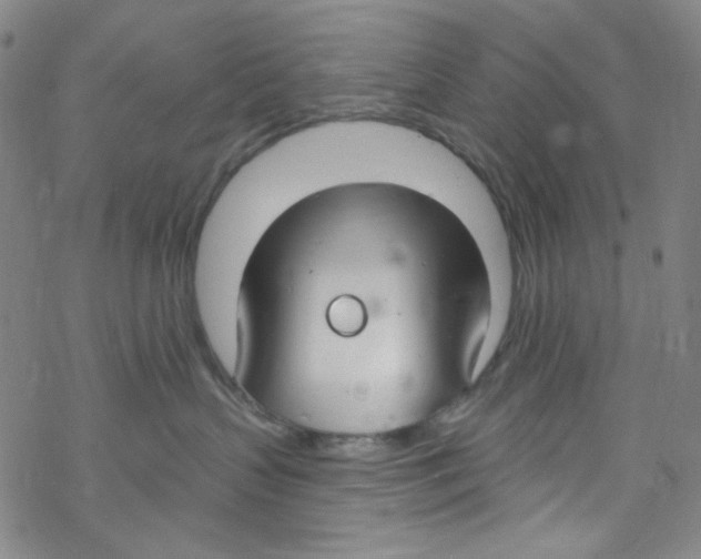 X0000067530383200605051926