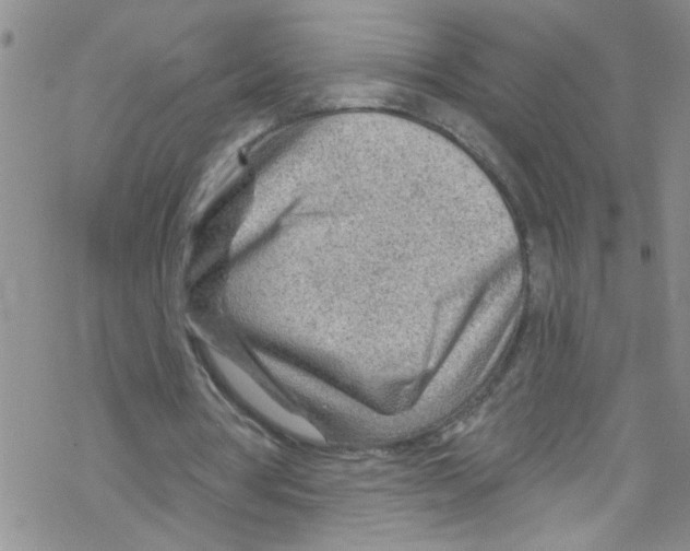 X0000067530386200605051925